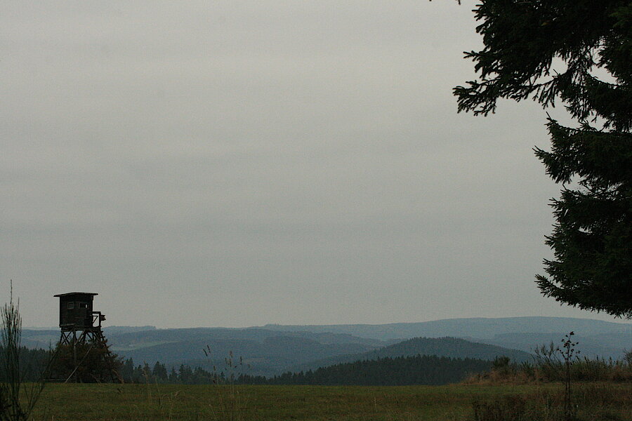 Weiter Blick über das Wittgensteiner Land © Regionalforstamt Siegen-Wittgenstein