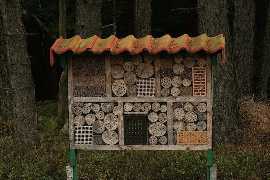 Insektenhotel © Regionalforstamt Siegen-Wittgenstein
