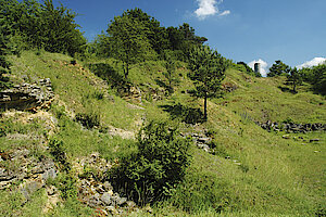 Felsbänder in einer ehemaligen Abgrabung unterhalb des Heinturms