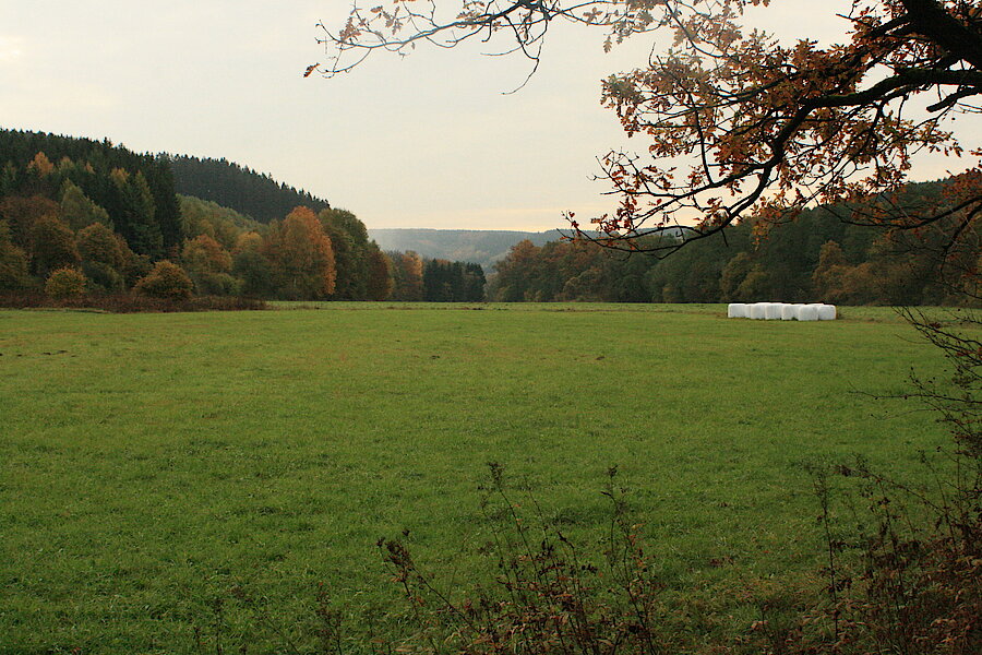 Herbstlandschaft © Regionalforstamt Siegen-Wittgenstein