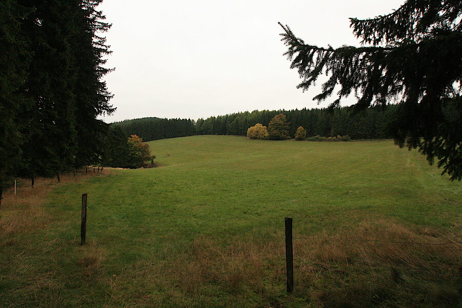 Wiesen und Weiden am oberen Steinbach © Regionalforstamt Siegen-Wittgenstein
