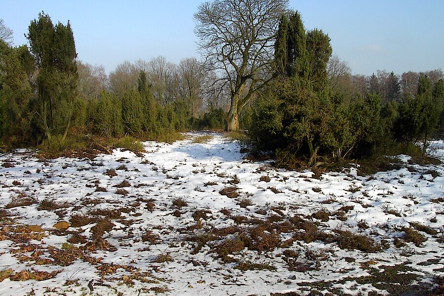 Winter in der Heide © Kreis Recklinghausen