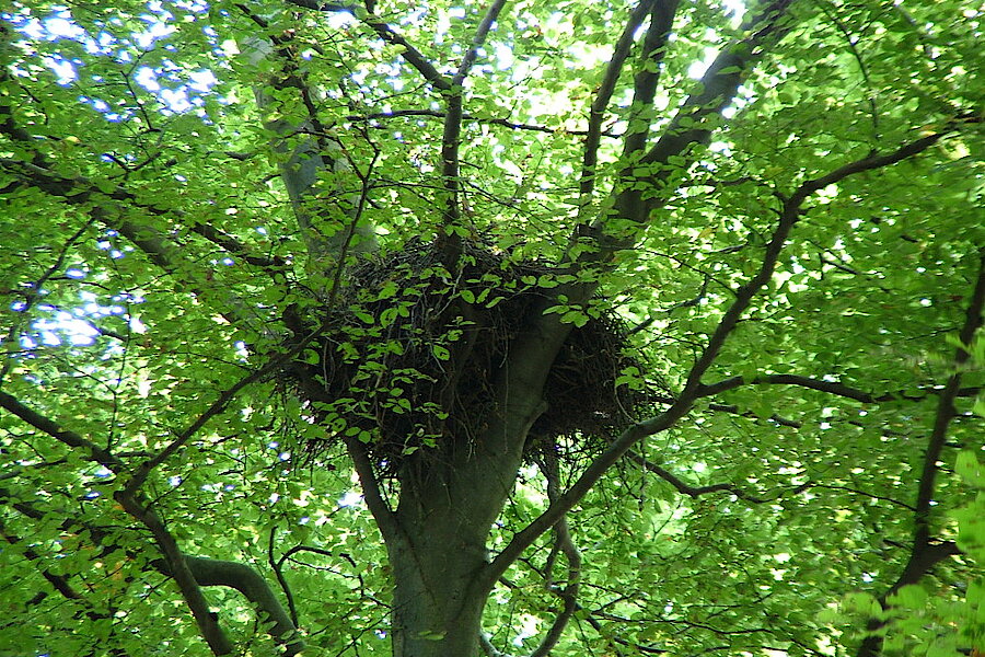Vogelparadies © NABU Naturschutzstation Münsterland e.V.