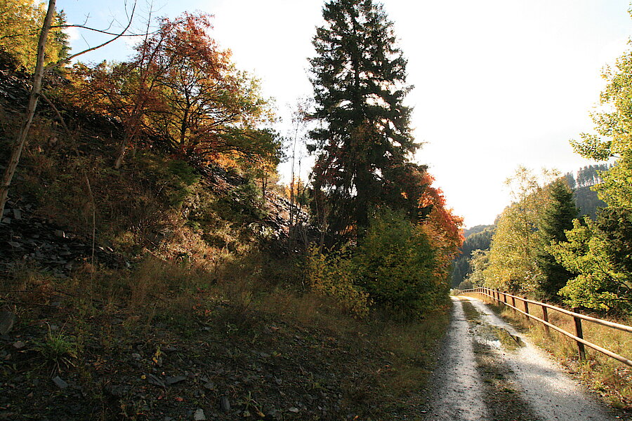 Schöne Wege am Grubengelände © Regionalforstamt Siegen-Wittgenstein