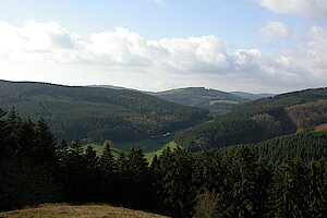 Blick vom Hilmesberg über das Liesetal