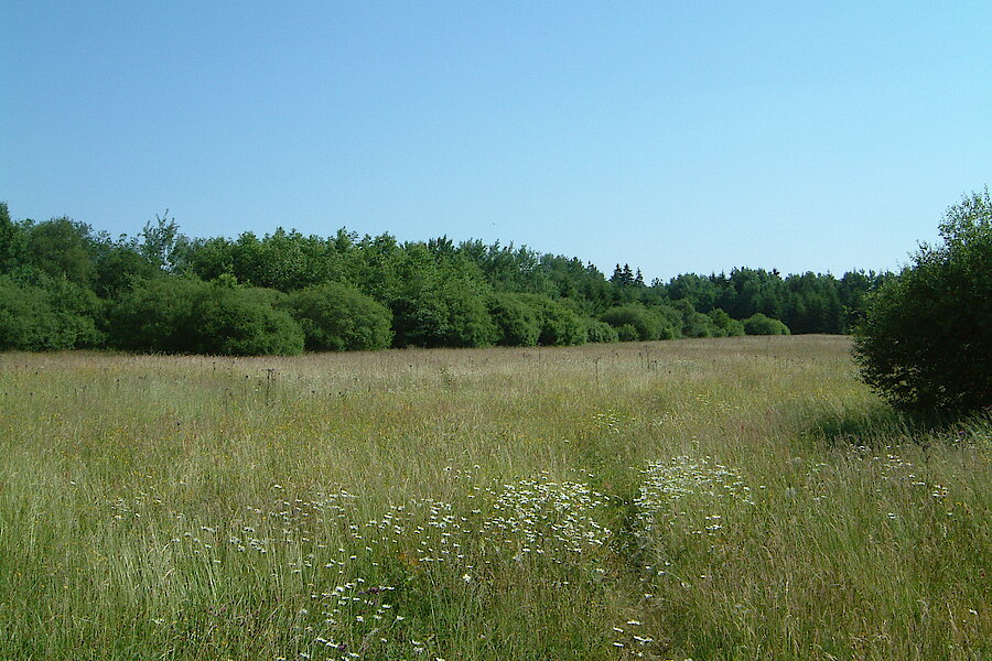 Sistig-Krekeler Heide © Biologische Station im Kreis Euskirchen