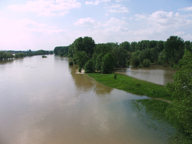 Ungewöhnliches Frühsommer-Hochwasser im Juni 2013 © Biologische Station Bonn / Rhein-Erft